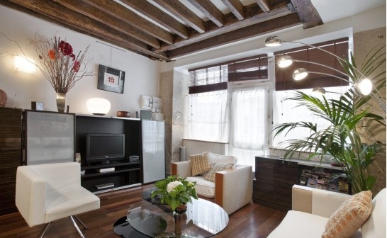 Apartment living room 2