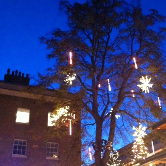 Christmas tree lights in Sloane Square