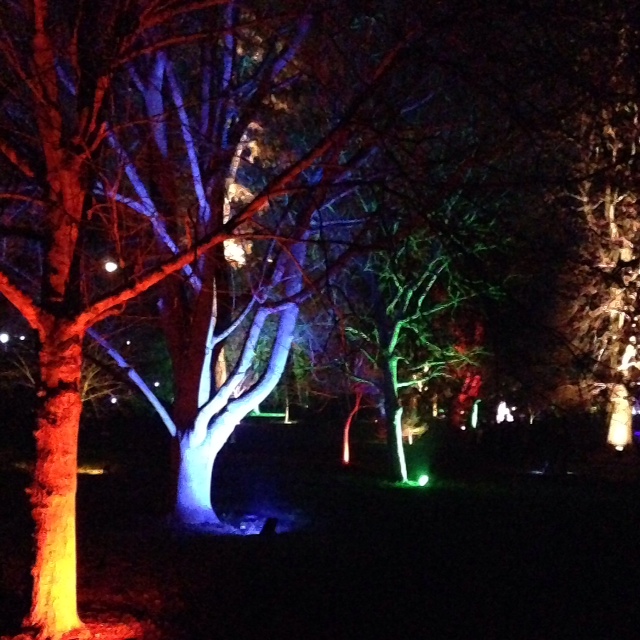 Syon Park enchanted forest walk
