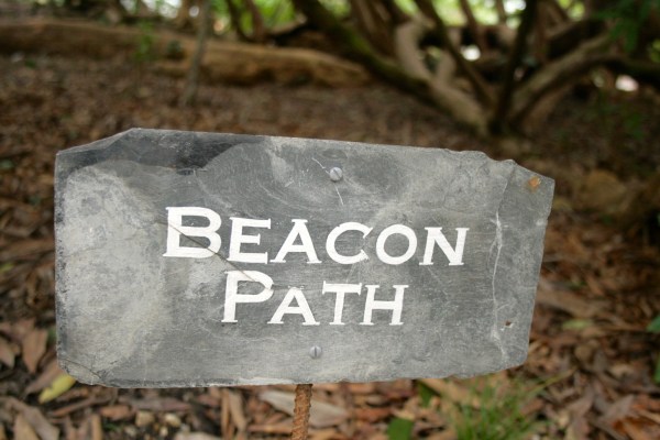 Beacon Path Gardens of Heligan
