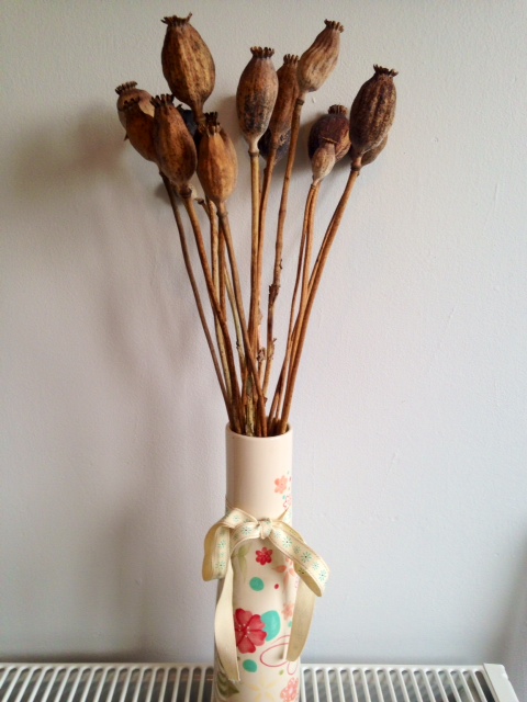 Springtime project 3