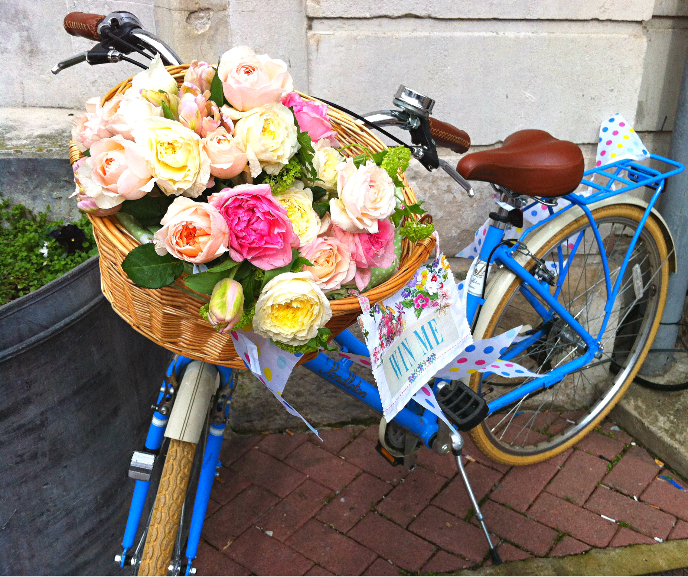 Bike flowers