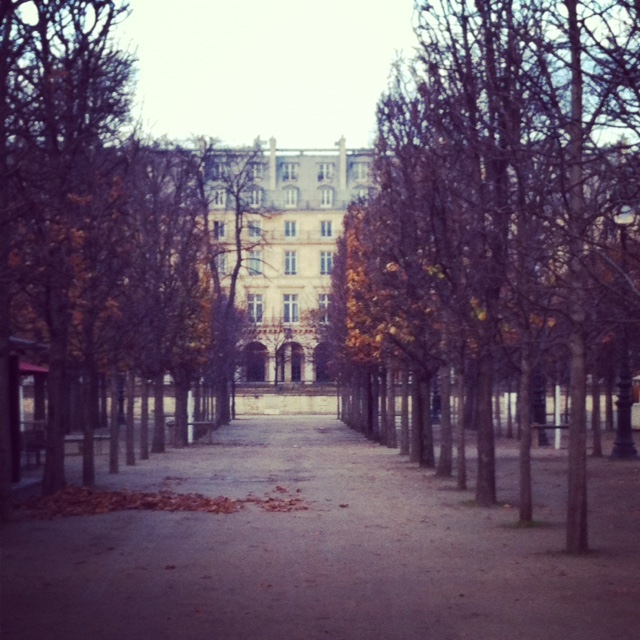 Paris trees