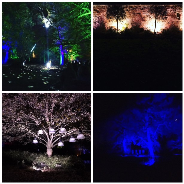 Enchanted Woodland Syon Park 2016