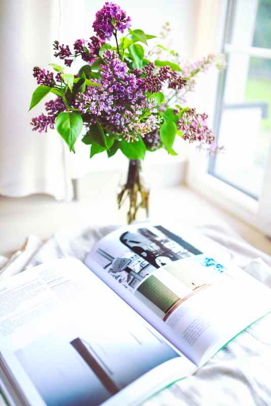 An open book next to a vase of purple flowers.