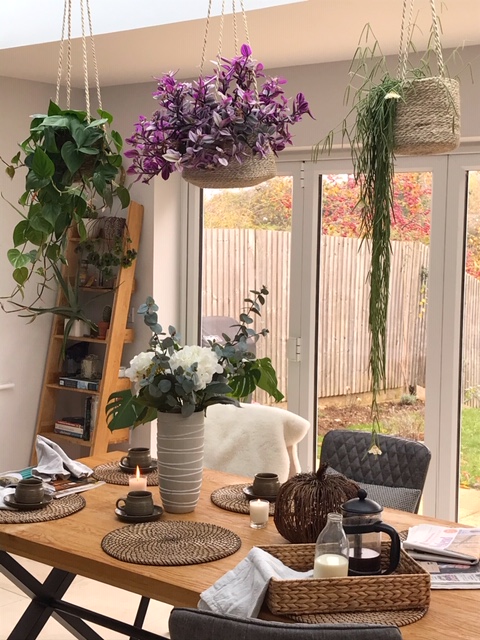 How to use plants in interior design – Claire Parkin Interior Design